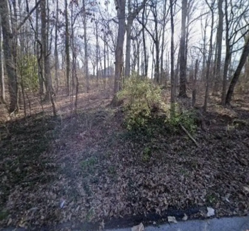 Picture 2
