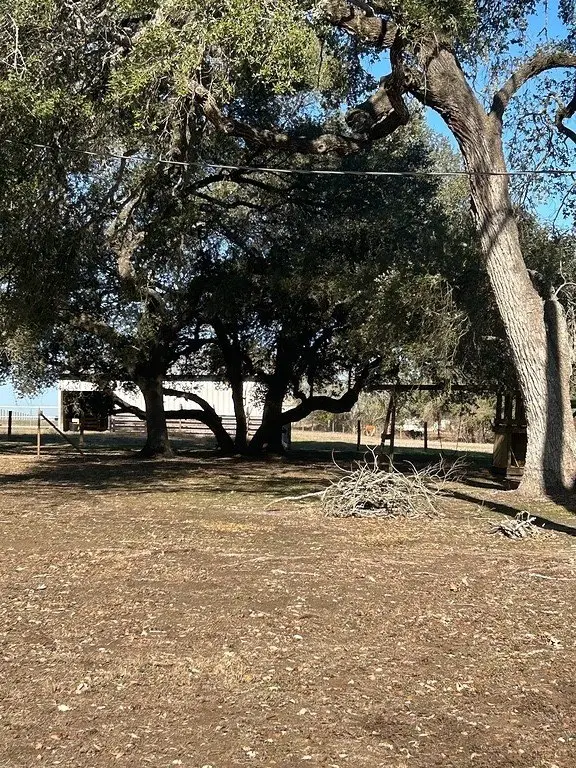 Picture 26