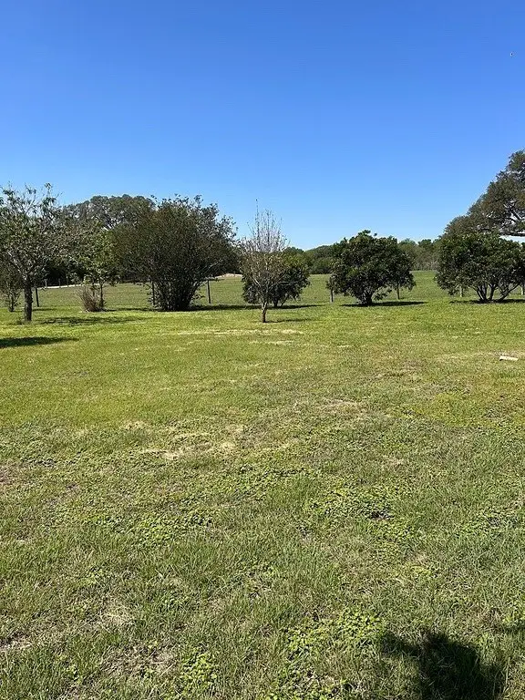 Picture 29