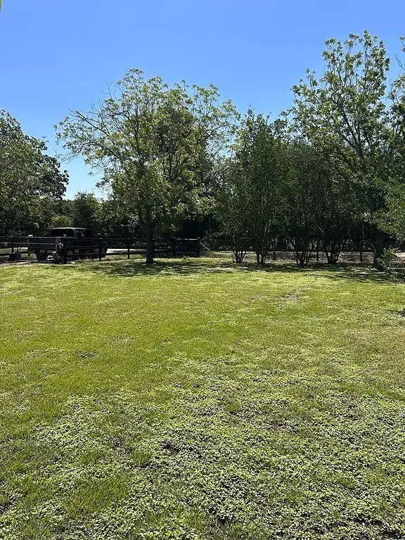 Picture 30