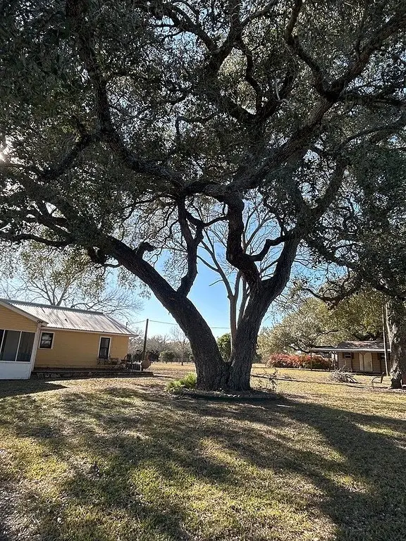 Picture 28