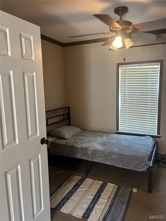 Picture 47