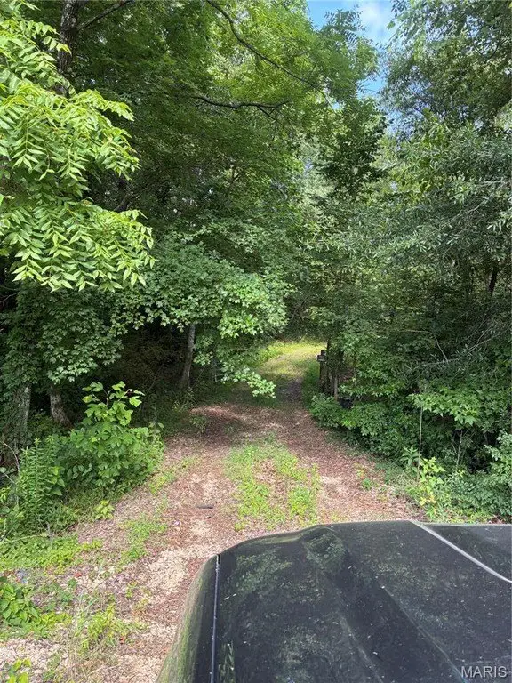 Picture 16