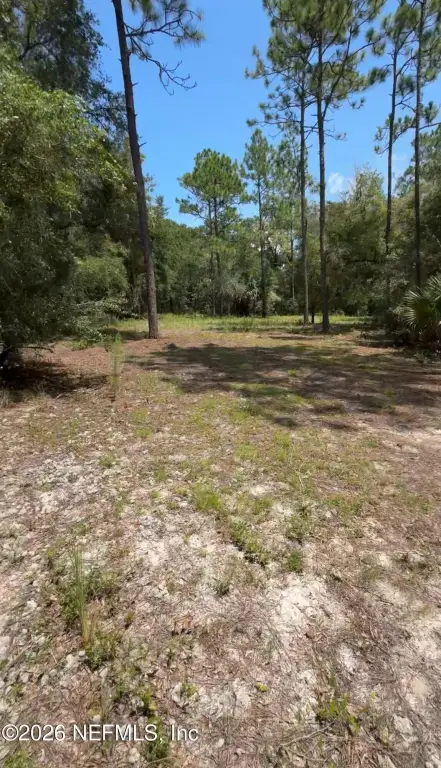 Picture 6