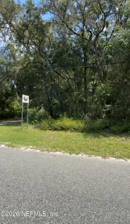 Picture 5