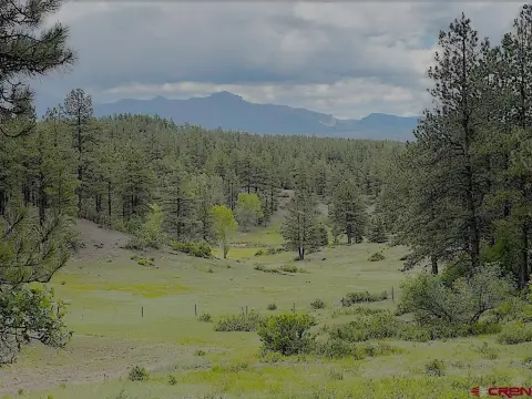 Pagosa Springs Residential Land
