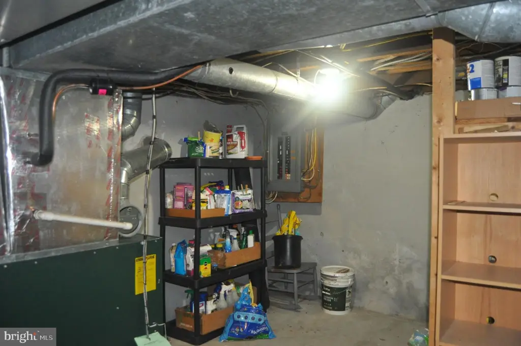Picture 15