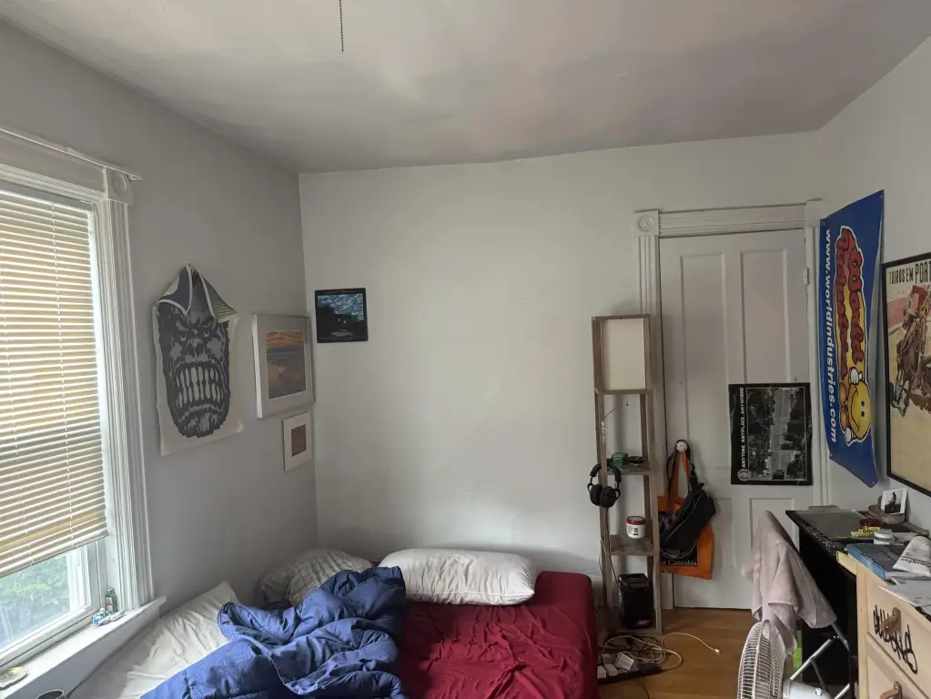 Picture 31