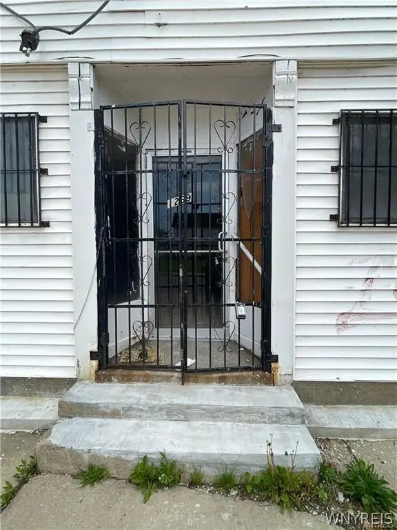 Picture 3