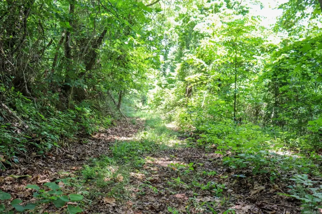 Picture 42