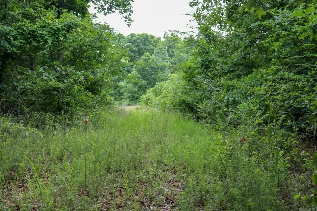 Picture 14