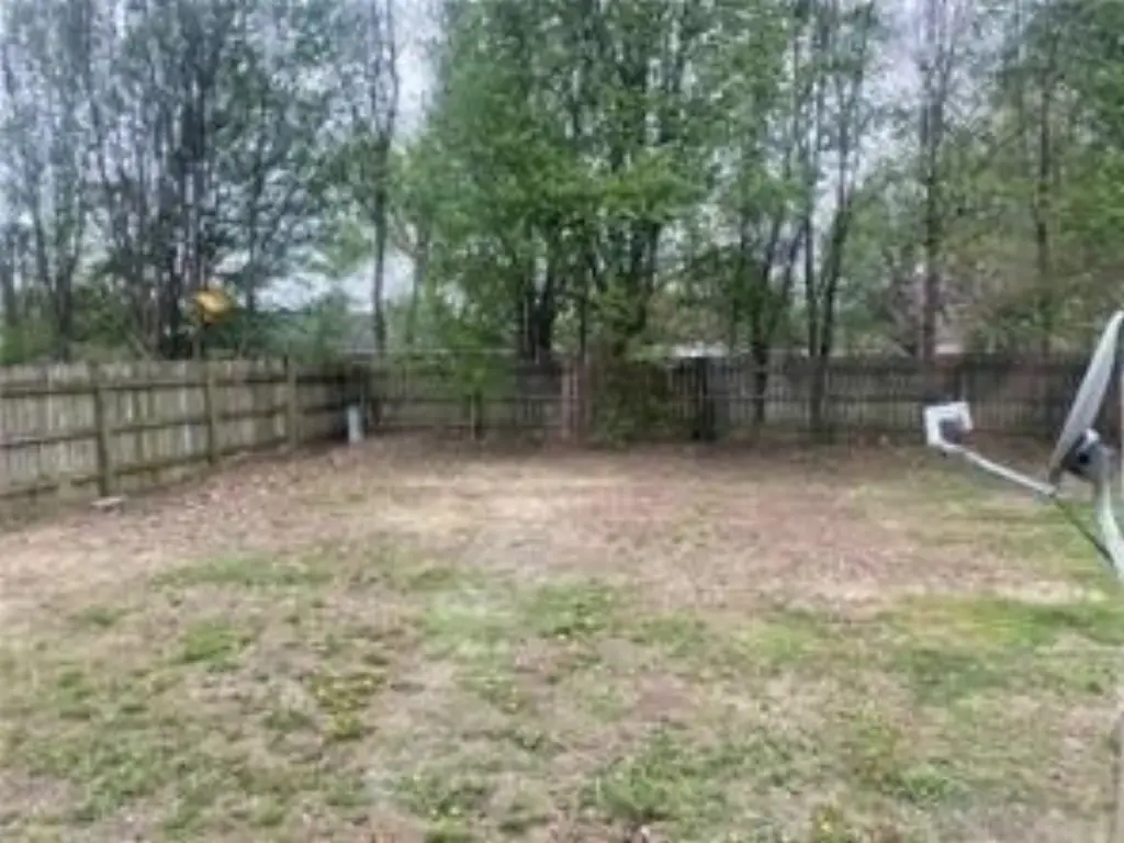 Picture 14