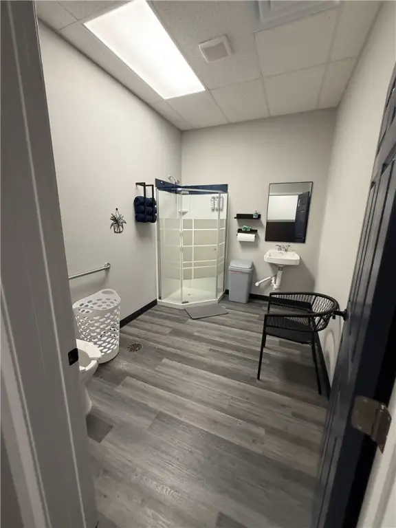 Picture 19