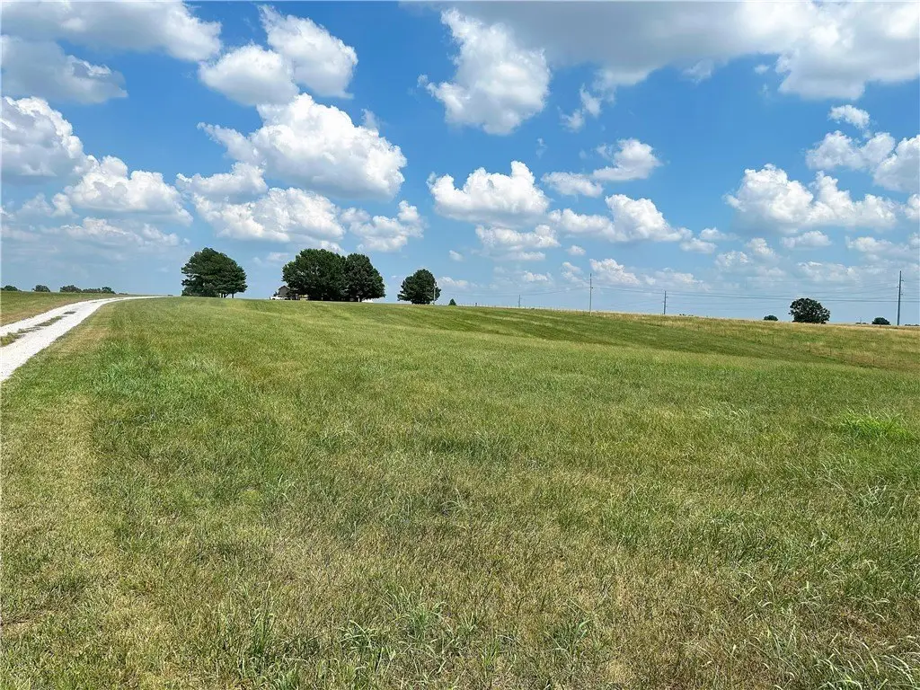 Picture 8