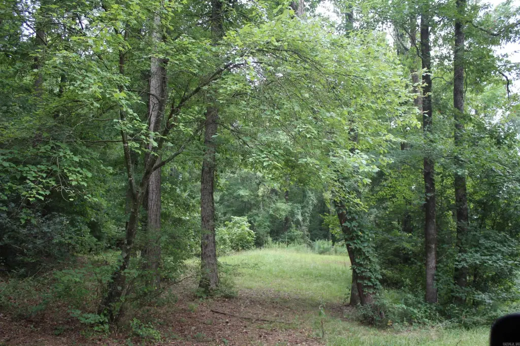 Picture 11