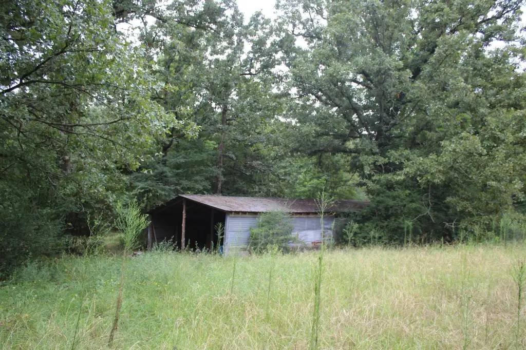 Picture 6