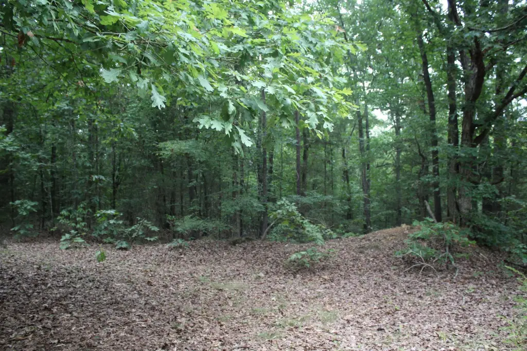 Picture 4