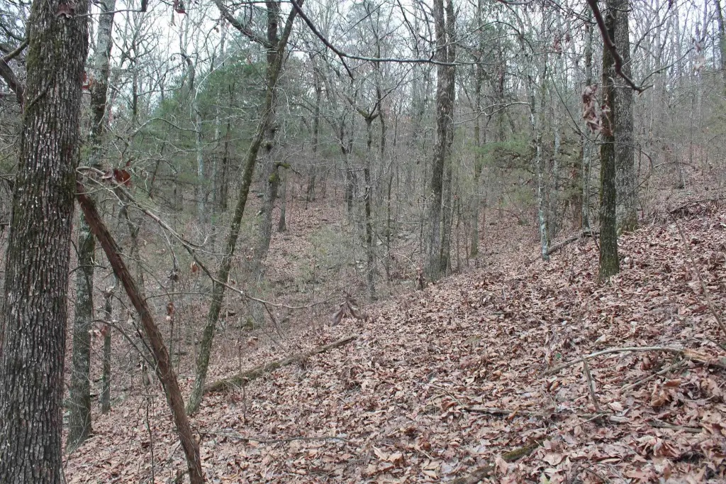 Picture 12