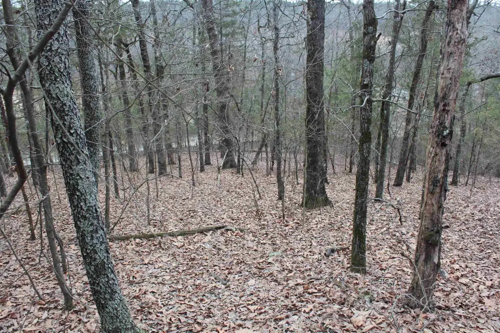 Picture 10