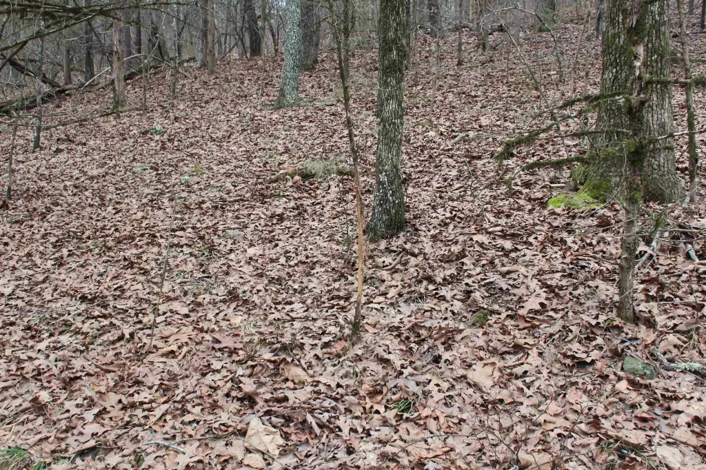 Picture 4