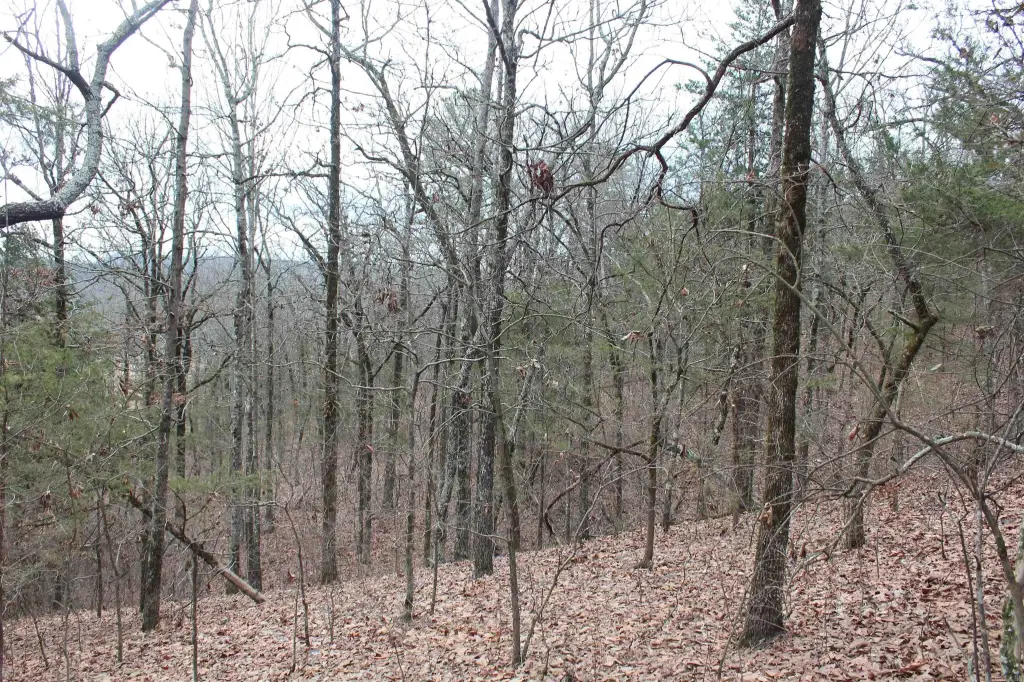 Picture 11