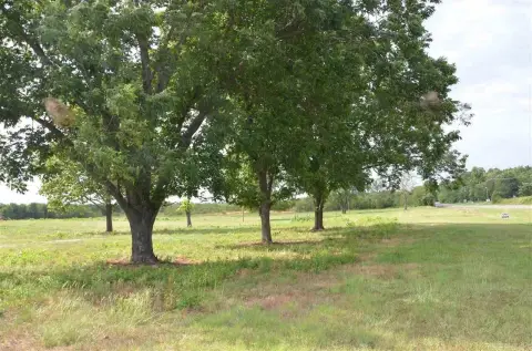 Commercial Land Site