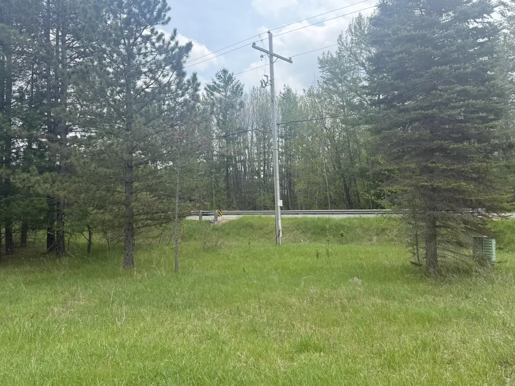 Picture 6
