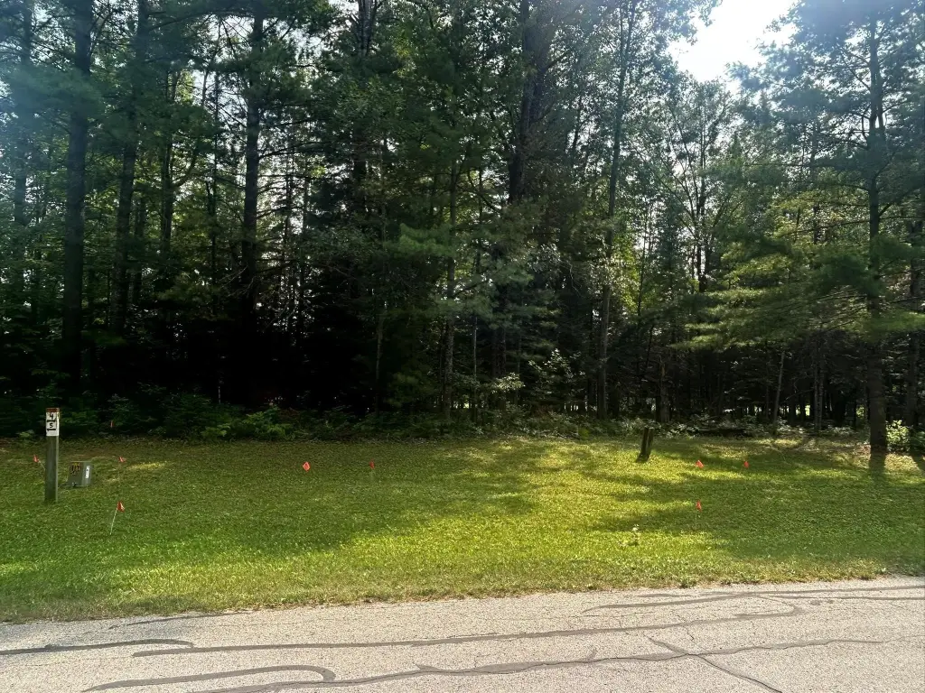 Picture 8