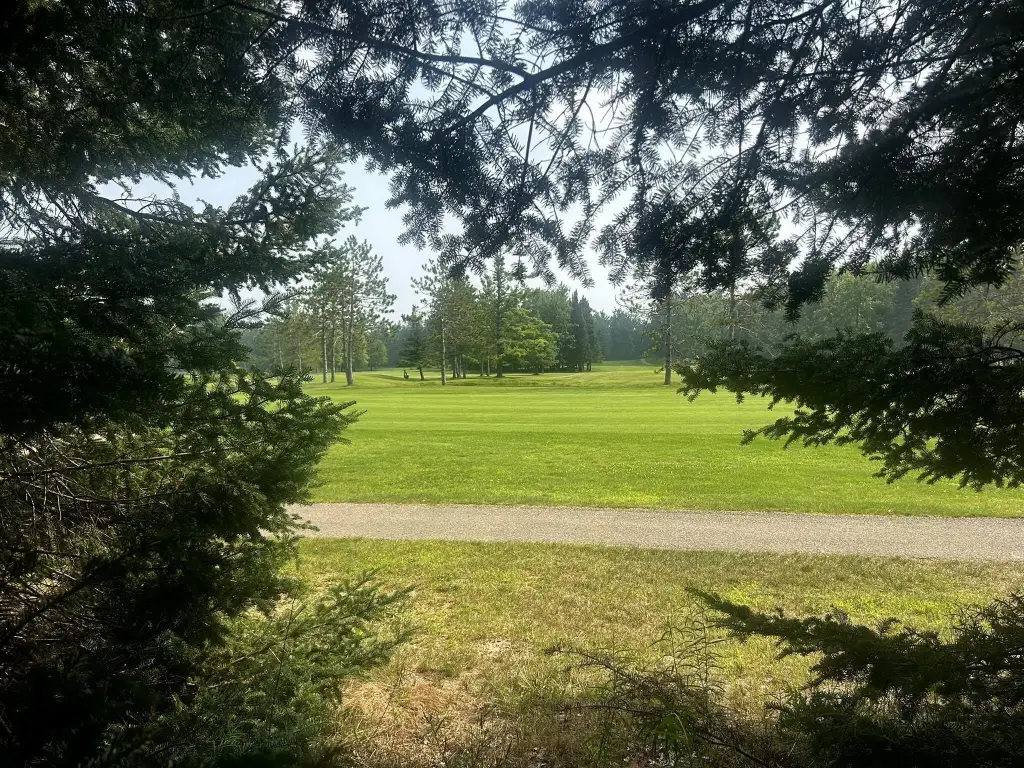 Picture 3