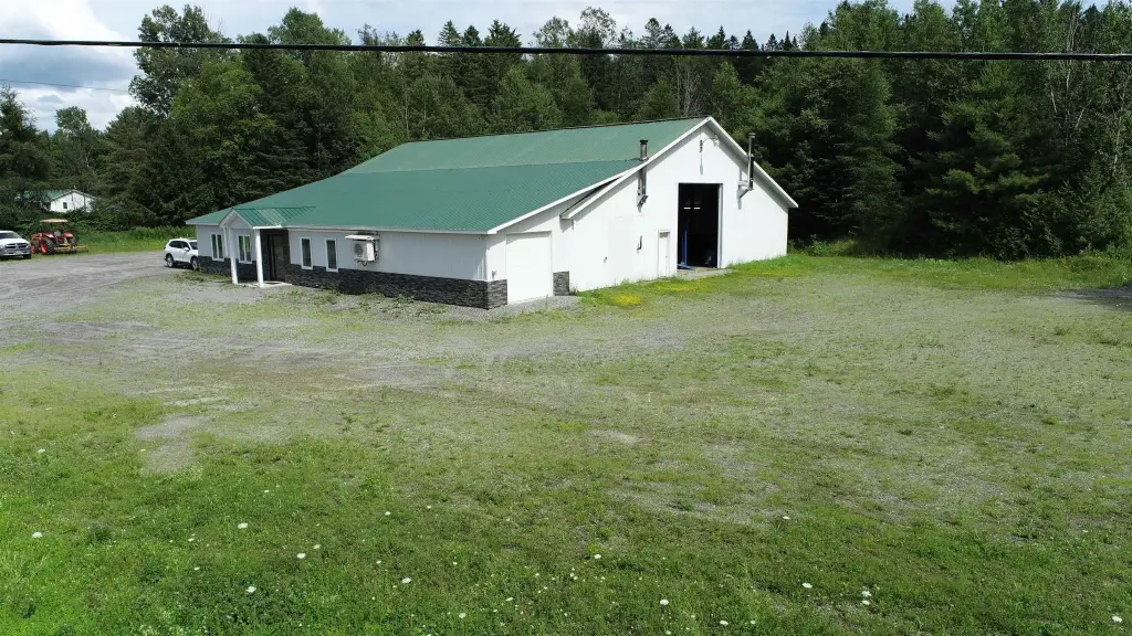 Picture 12