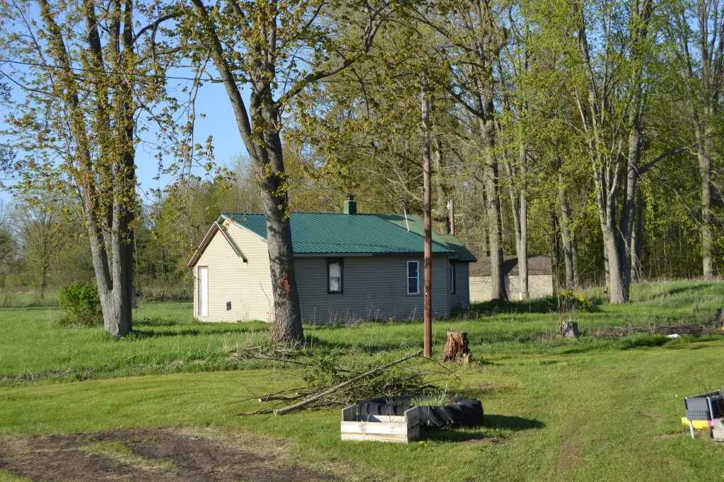Picture 12