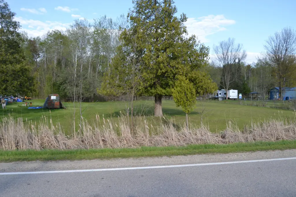 Picture 8