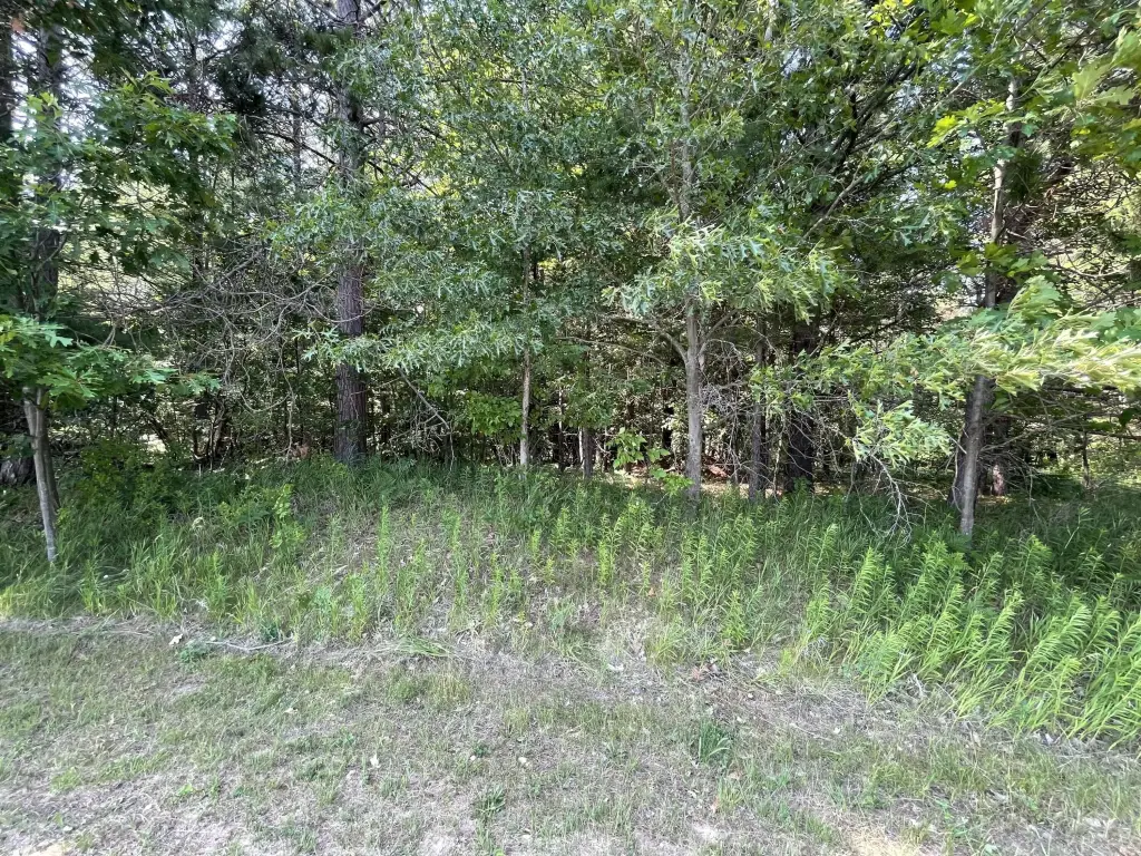Picture 6