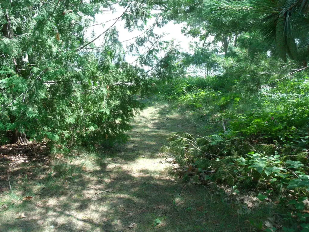 Picture 11