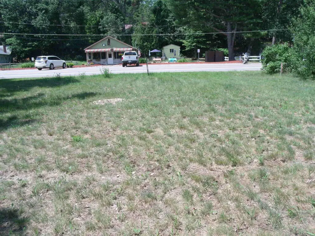Picture 7