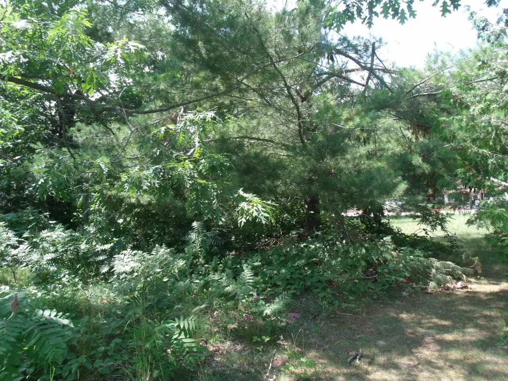 Picture 12