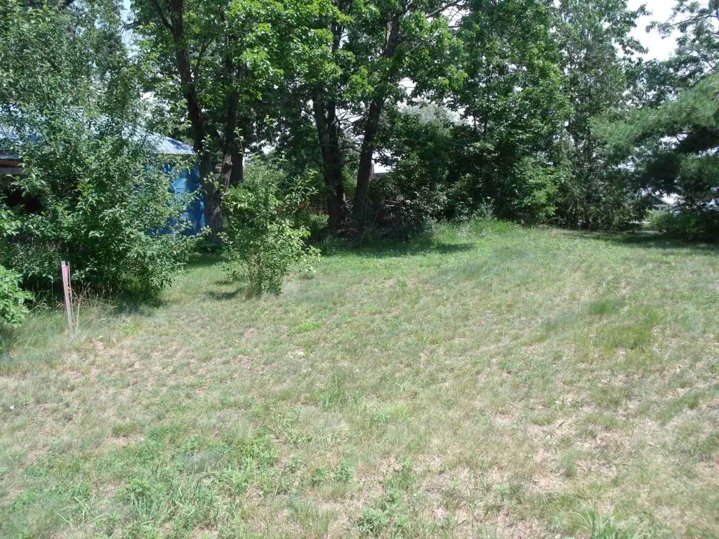 Picture 10