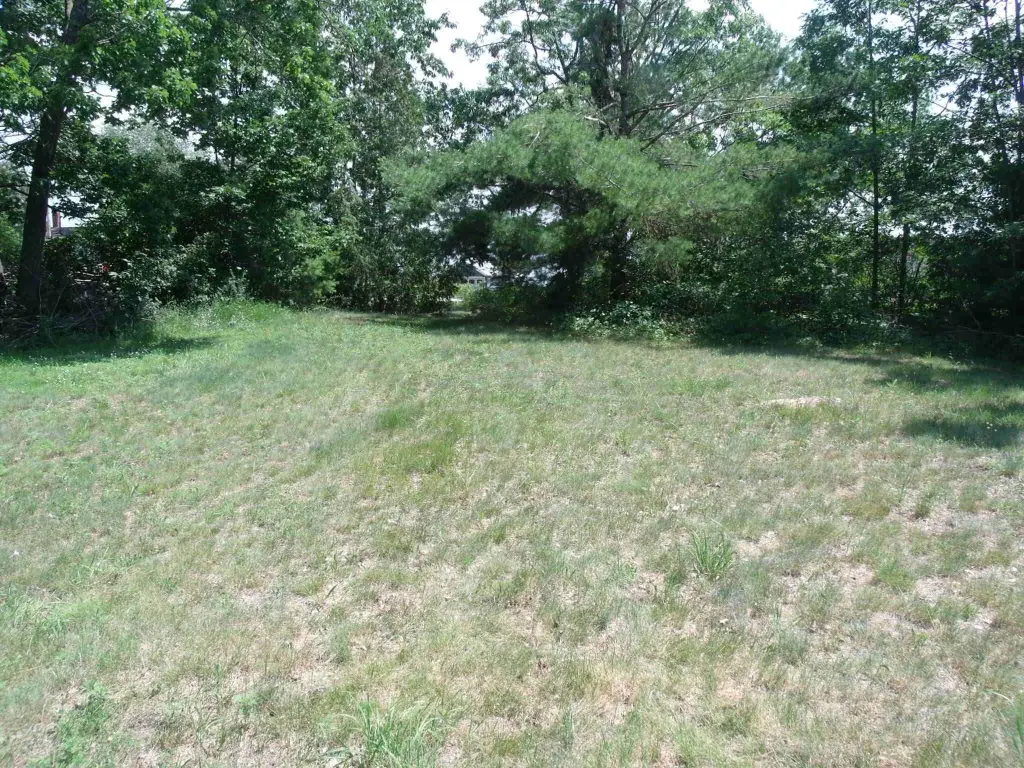 Picture 8