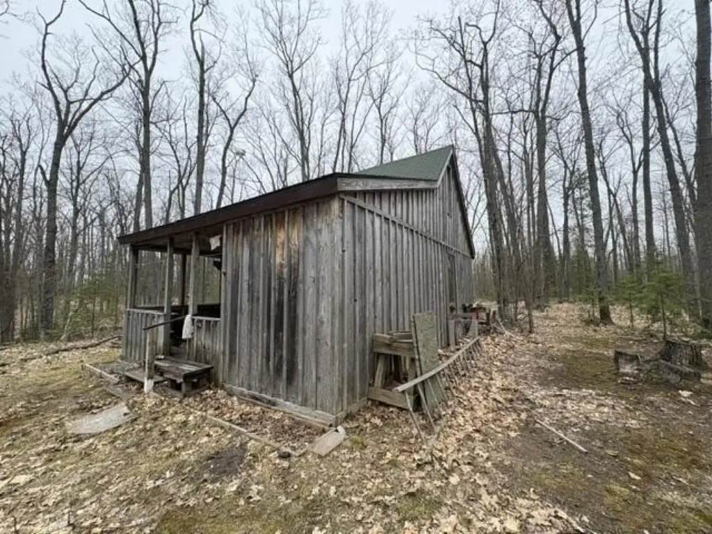 Picture 7