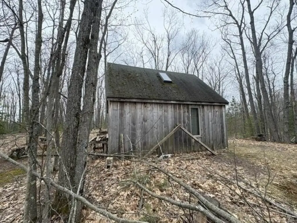 Picture 5