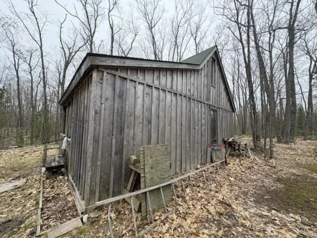 Picture 3