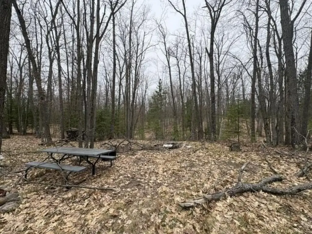 Picture 8