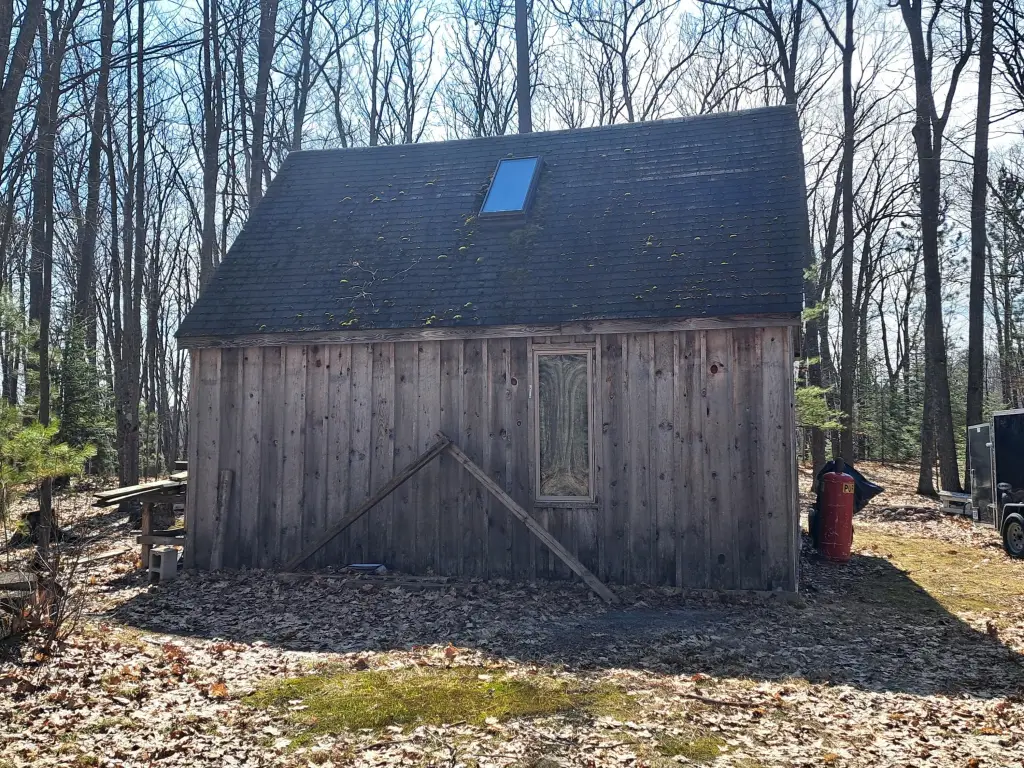 Picture 6