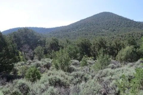 160 Acres Vacant Land - Taos