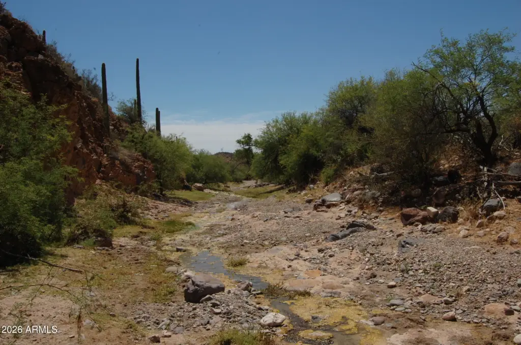 Picture 24