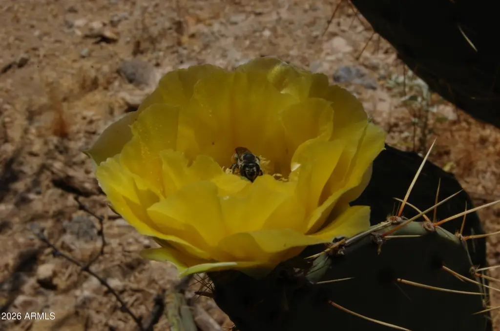Picture 42