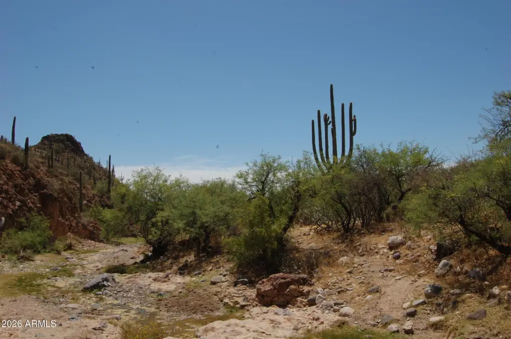 Picture 35