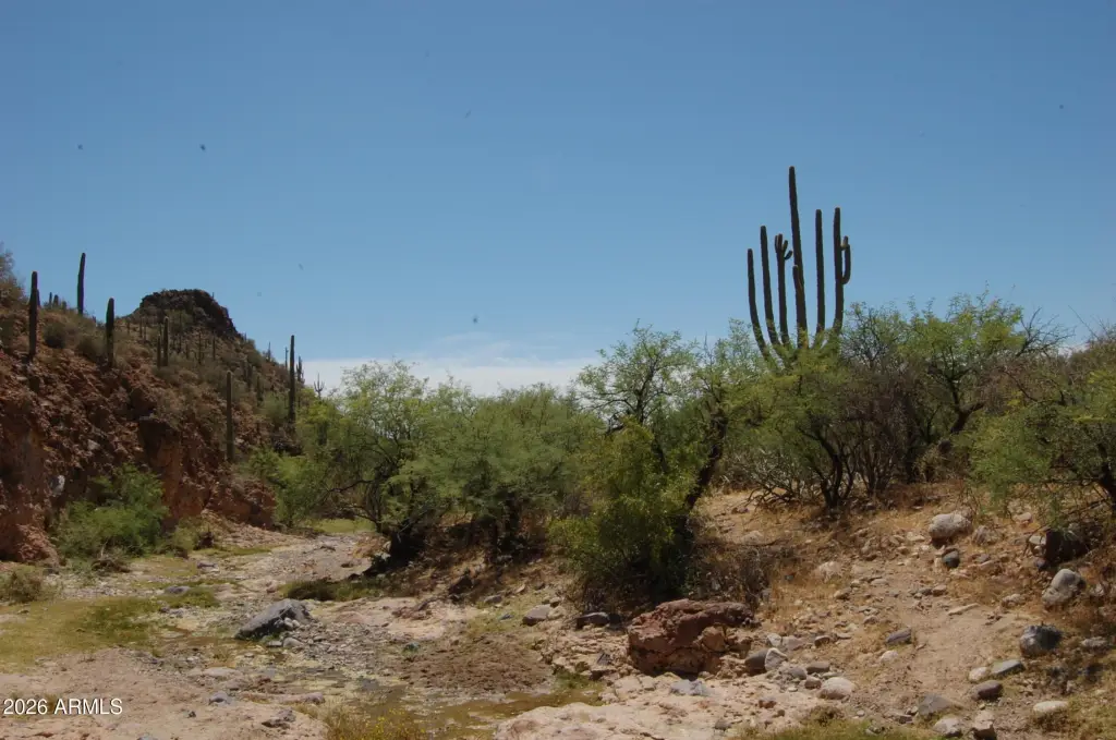 Picture 33