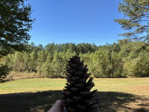 Jasper Highlands Residential Land