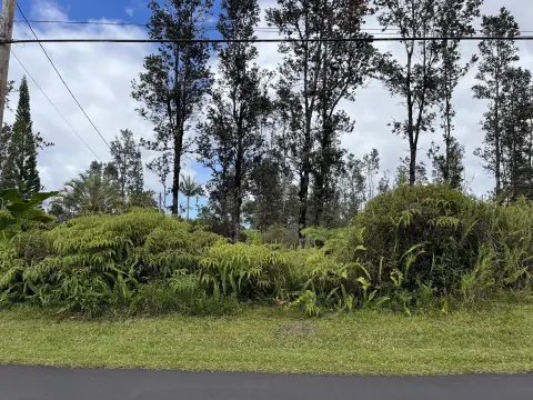 Two Acre Hawaii Property